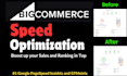 do your bigcommerce website speed optimization on google pagespeed and gtmetrix