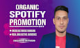 do spotify music promotion through ads campaign