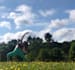 create virtual yoga sessions