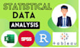 do statistical data analysis, r code, spss, stata, nvivo, python programming
