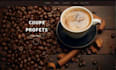 design private label coffee shopify branded coffee matcha tea dropshipping store