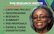 beta proofread masters proposal, dissertations, phd capstone research any field