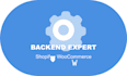 run ecommerce backend so you can focus on scaling