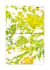 do remote sensing gis analysis with satellite data and embeddings data