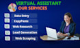 do any virtual assitant, data entry, b2b lead, web scracping