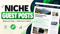 publish a tech niche guest post with a contextual backlink