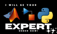 do matlab programming, matlab simulink and python programming