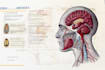 do academic illustrations scientific figures medical illustration