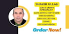 handle accurate and professional virtual data entry