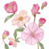 create a botanical watercolor illustration, floral drawing