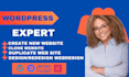 create, revamp or fix wordpress website, redesign, clone, woocommerce website