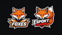 do professional dog and wolf, birds, animal logo