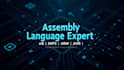 mips and all types of assembly language development