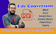 convert pdf to word, excel, google docs, sheets, powerpoint, typing job