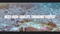 edit professional videos with motion graphics and vfx