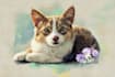 create a custom watercolor pet portrait or pet painting