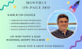 provide monthly on page SEO services