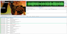 subtitles for your videos