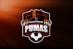 design unique soccer team logo