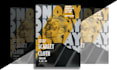 design professional and eye catching posters that stand out