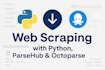 website data scraping service clean excel sheets