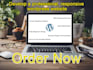 develop a professional, responsive wordpress website