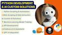 do python development and ai custom solution