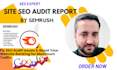 perform a detailed SEO site audit report  for  boost ranking