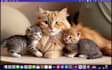 do still image to animated GIF, loop video