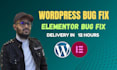 resolve wordpress bugs, errors, and issues professionally