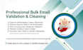 professional bulk email validation and cleaning high accuracy guaranteed