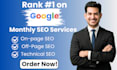 do complete monthly seo service for your website