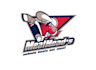 design mascot hockey team logo