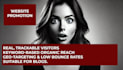 promote your website to my audience
