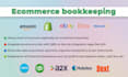 be your ecommerce bookkeeper, accountant for amazon, shopify