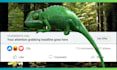 create engaging scroll stopper for instagram or video ads