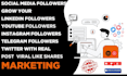 grow your youtube, instagram, telegram real follow