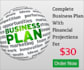 write an Investor ready Business Plan from scratch