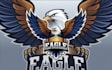 do wonderful eagle mascot logo design with express delivery