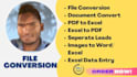 do fast data entry and convert PDF, excel, and word files
