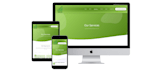 take 24 hours to make elementor based website