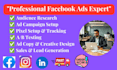 expert facebook ads setup and management