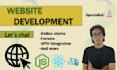 build website, website development, full stack frontend and backend