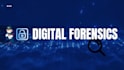 perform intense digital forensics and investigations