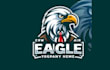 do awesome eagle mascot logo design with unlimited review