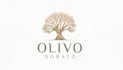 design beautiful olive tree logo