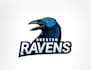 design high quality houston ravens logo