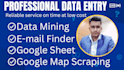 accurate data entry, google maps scraping and email finder