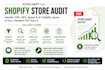 do shopify store audit to identify cro, SEO, speed and ai visibility issues