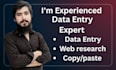 do urgent accurate data entry and fast copy paste work